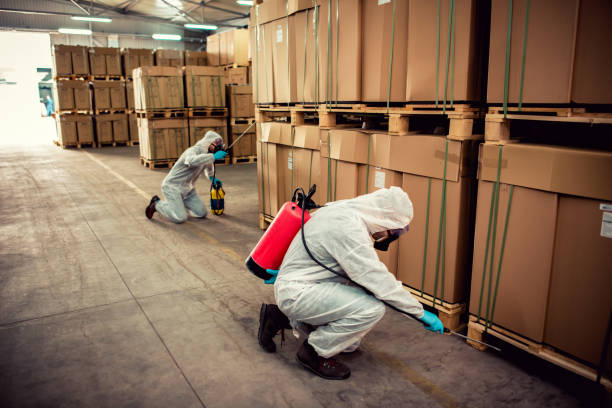 Best Emergency Pest Control  in Milltown, NJ