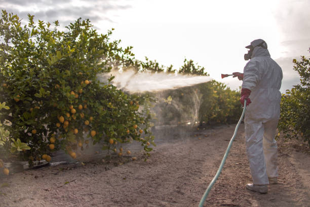 Best Pest Prevention Services  in Milltown, NJ