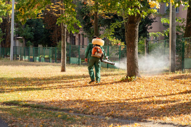 Best Pest Control Near Me  in Milltown, NJ