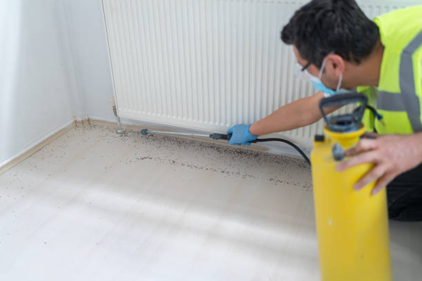 Pest Control for Restaurants in Milltown, NJ