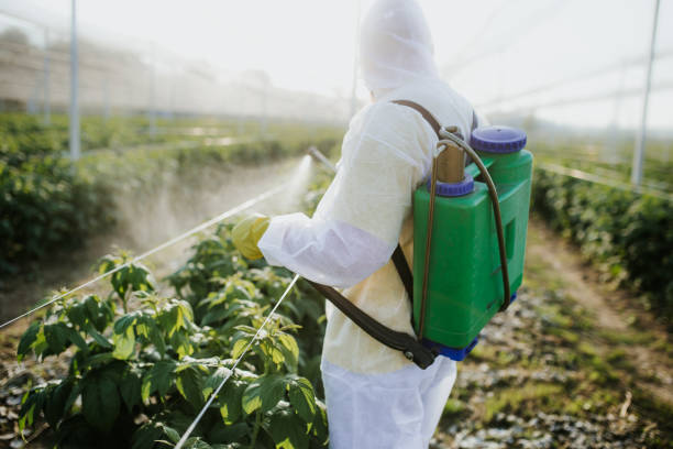 Wildlife Control Services in Milltown, NJ